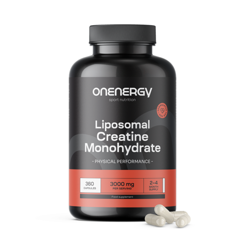 Liposomales Kreatin-Monohydrat 3000 mg, 360 Kapseln