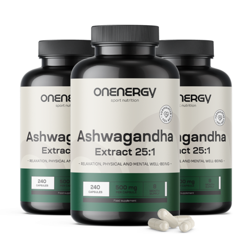 3x Ashwagandha 500 mg – Extrakt 25:1, zusammen 720 Kapseln